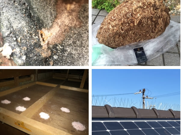 消毒・害虫駆除事業もM-fortにお任せ下さい。