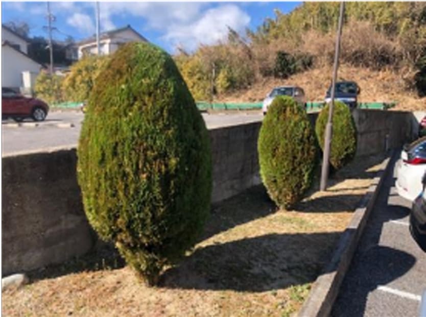 環境保全 マンションの定期的な清掃