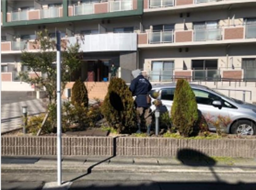 環境保全 マンションの植栽剪定